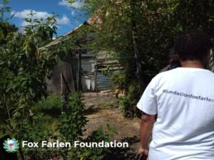 Fundación Fox Farlen recibe nominación en la Segunda Edición de los Premios Triunfo 2025
La Fundación Fox Farlen se complace en anunciar que ha sido oficialmente nominada en la segunda edición de los Premios Triunfo 2025, un reconocimiento que destaca el impacto social, comunitario y humano de las instituciones que trabajan día a día por el bienestar de su comunidad.
Esta nominación representa un importante honor para nuestra organización, pues reconoce la labor constante que realizamos en favor de niños, niñas, adolescentes, jóvenes y familias que viven en condiciones de vulnerabilidad.
Cada programa, cada jornada solidaria y cada esfuerzo realizado desde la Fundación ha sido impulsado por el compromiso firme de transformar realidades y fortalecer la esperanza en nuestras comunidades.
Agradecemos profundamente a los organizadores de Premios Triunfo por valorar nuestra entrega y permitir que la voz de quienes más lo necesitan siga siendo escuchada. Este logro también pertenece a cada voluntario, colaborador y aliado que ha creído en la misión de la Fundación Fox Farlen y ha trabajado con amor, responsabilidad y dedicación.
Ratificamos nuestro compromiso de seguir desarrollando iniciativas que promuevan la solidaridad y el crecimiento colectivo. Continuaremos avanzando con propósito, confiando en que juntos podemos construir un mejor futuro para Santo Domingo Norte.
Equipo de Comunicación: Fundación Fox Farlen