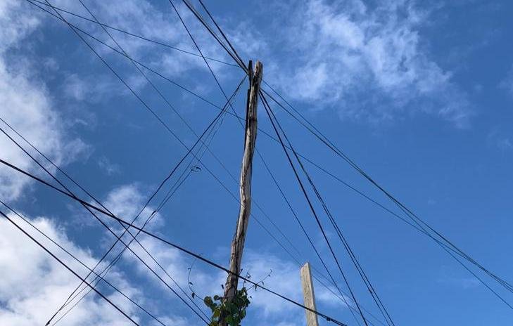 Edeeste aclara muerte de yegua en Sabana Grande de Boyá se debió a conexión ilegal
