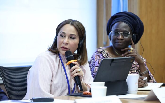 Supérate destaca en la ONU la estrategia de protección social en la República Dominicana