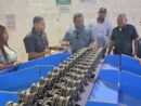 República Dominicana exporta aguacate Hass orgánico a Europa y Estados Unidos