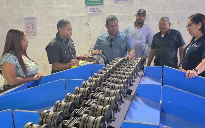 República Dominicana exporta aguacate Hass orgánico a Europa y Estados Unidos