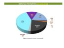 PRM mantiene preferencia electoral con 41.1%, según encuesta del Centro Económico del Cibao